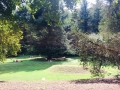 AreBotanica_1_email