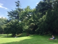 AreaBotanica_2_email