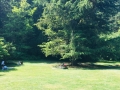 AreaRelax_2020_1_email
