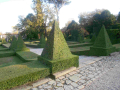DSCN1409_low