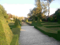 DSCN1411_low