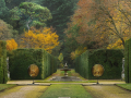 VialeCentraleAutunno_email
