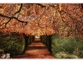 Barnes_1_email