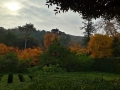 Labrinto-autunno