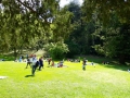 Foto3_PicNicDoge2017_email