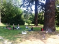 IMG-0770_bassa