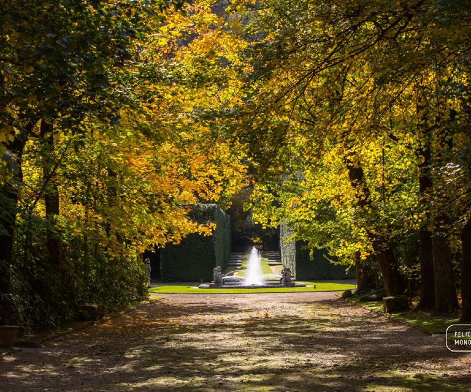 Viale Valsanzibio Giardino
